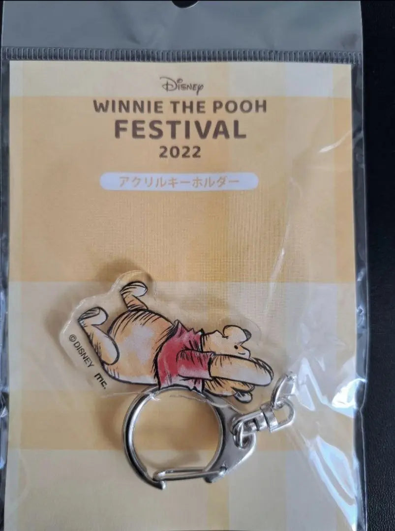 Pooh Acrylic Keychain Wandering