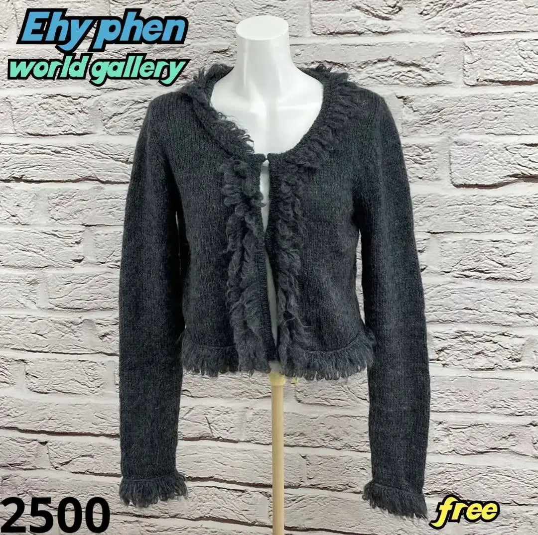 ☆ 6601T ☆ EHY PHEN WORLD GALLERY Cardigan | ☆6601T☆ Ehy phen world gallery カーディガン