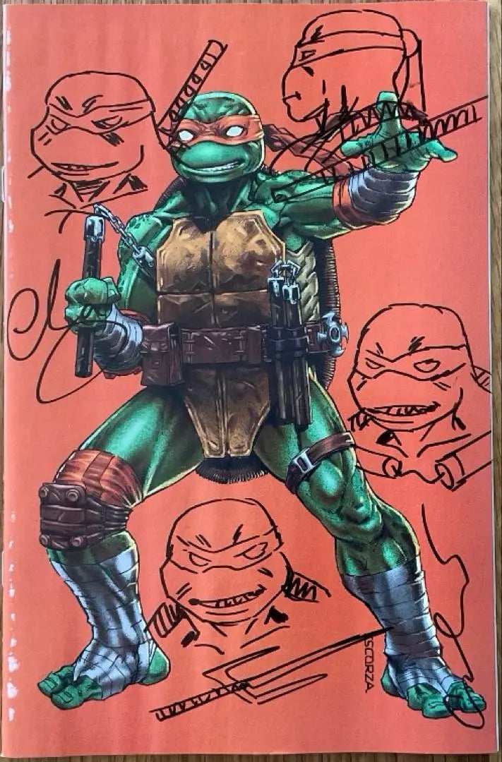 Teenage Mutant Ninja Turtles #1 American Comic Leaf