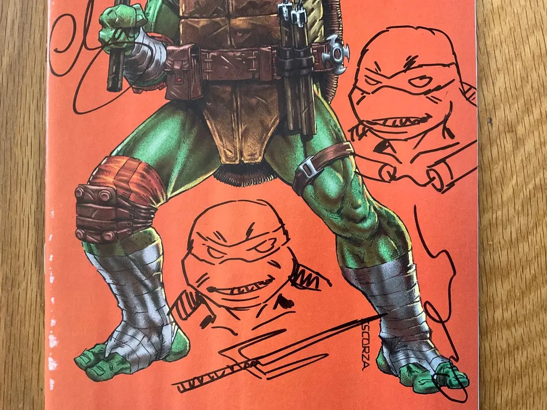 Teenage Mutant Ninja Turtles #1 American Comic Leaf