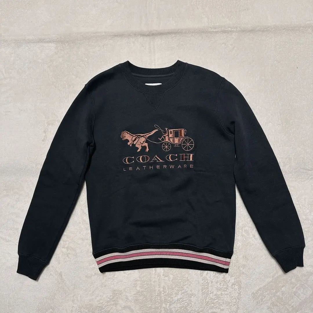 COACH Coach Trainer Lexie and Carriage Fleece-lined Sweatshirt