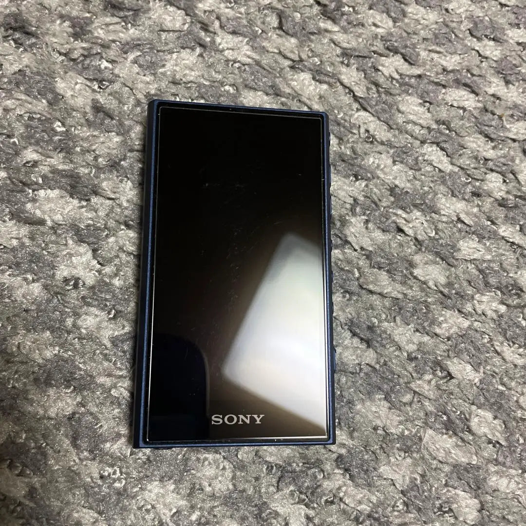 WALKMAN nw a306