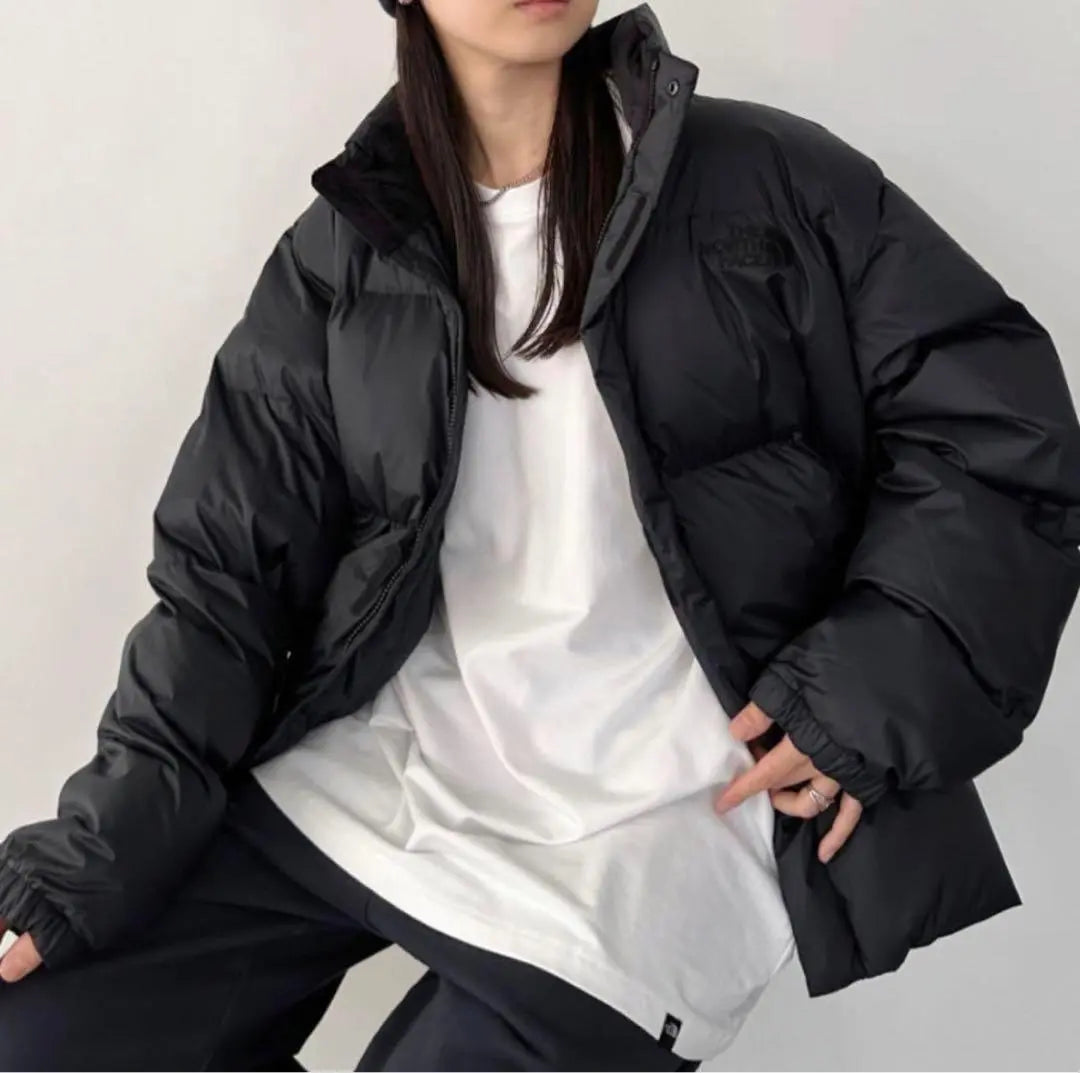 New Korea Limited Chaqueta de plumas North Face Nupus Onball Unisex | 新品 韓国限定 ノースフェイス ダウンジャケット ヌプシ オンボール 男女兼用