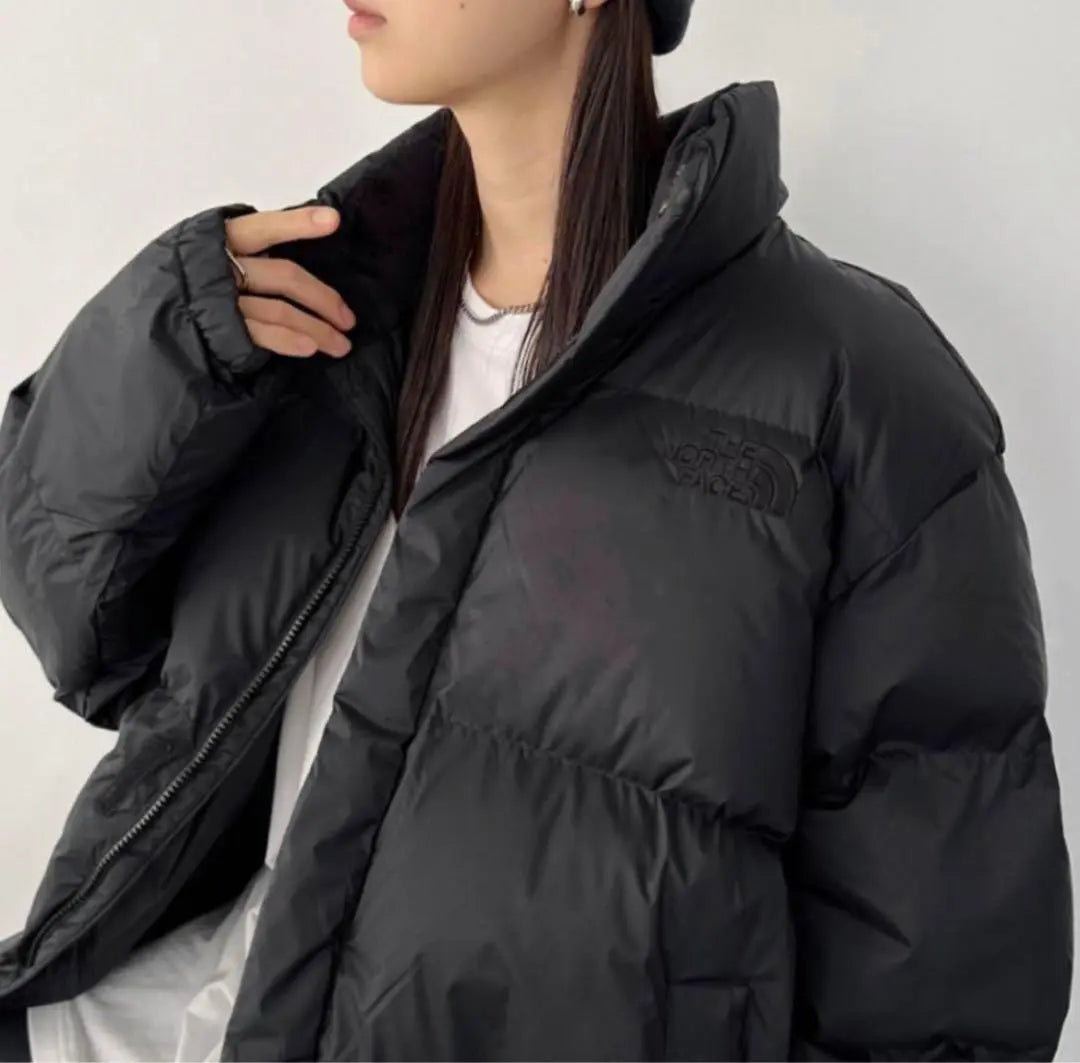 New Korea Limited Chaqueta de plumas North Face Nupus Onball Unisex | 新品 韓国限定 ノースフェイス ダウンジャケット ヌプシ オンボール 男女兼用