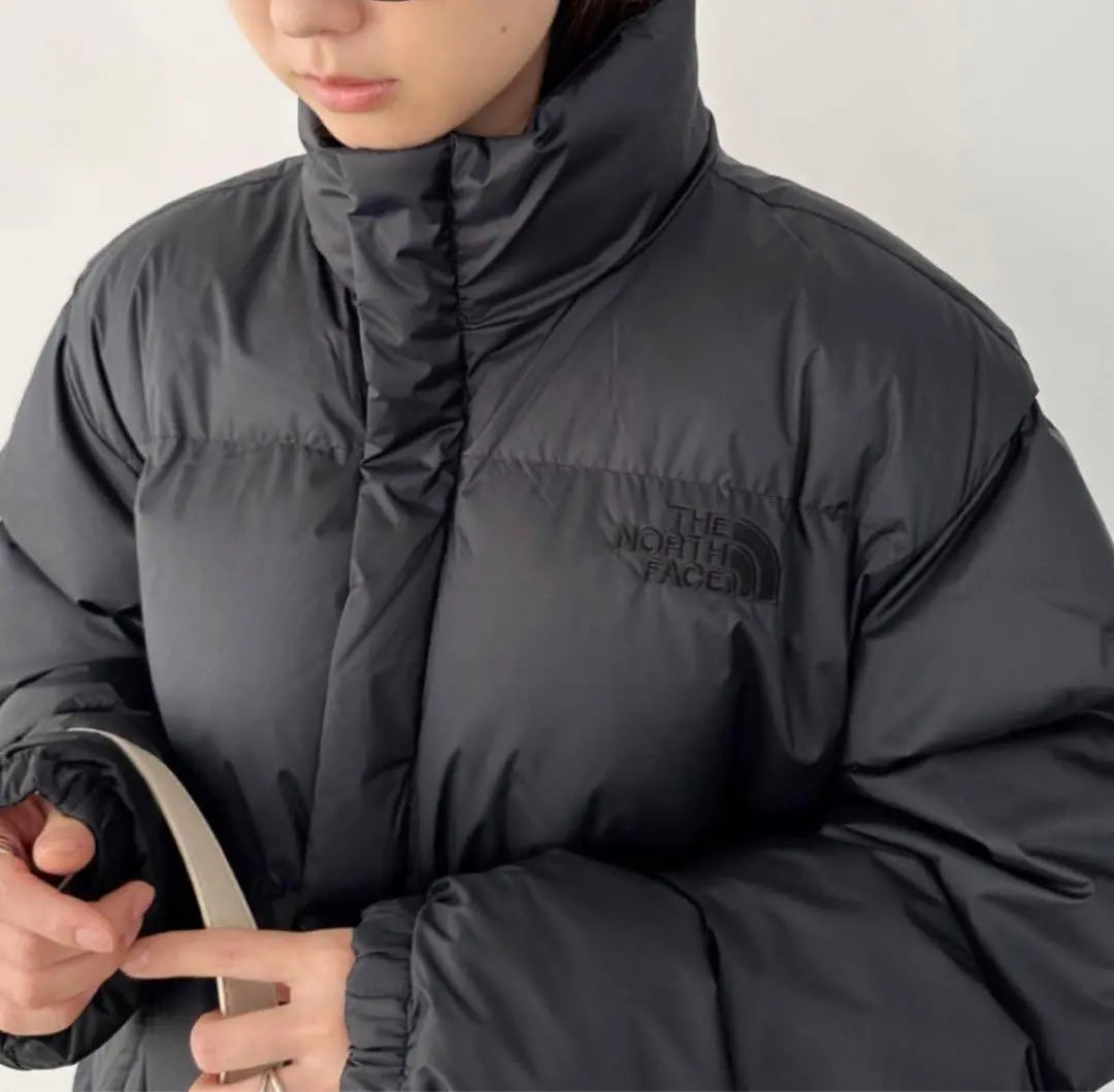 New Korea Limited Chaqueta de plumas North Face Nupus Onball Unisex | 新品 韓国限定 ノースフェイス ダウンジャケット ヌプシ オンボール 男女兼用