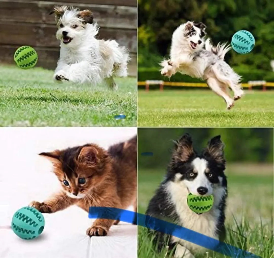 Perros, gatos, juguetes para masticar, bola de pasta de dientes, bola para masticar, juego de 2