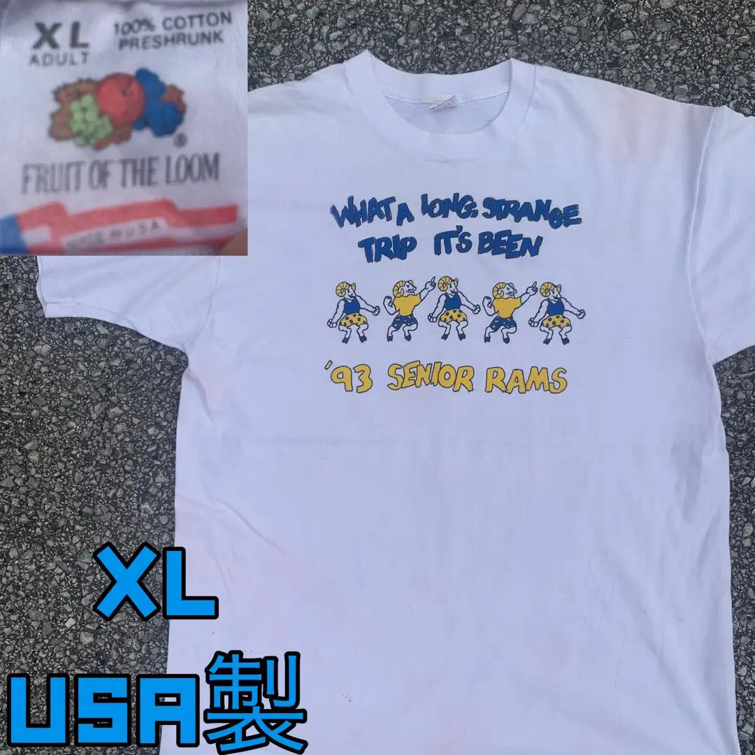 Camiseta con estampado Fruit of the Room de los años 90 USA SENIOR RAMS | Años 90 フルーツオブザルーム プリントTシャツ USA製 SENIOR RAMS