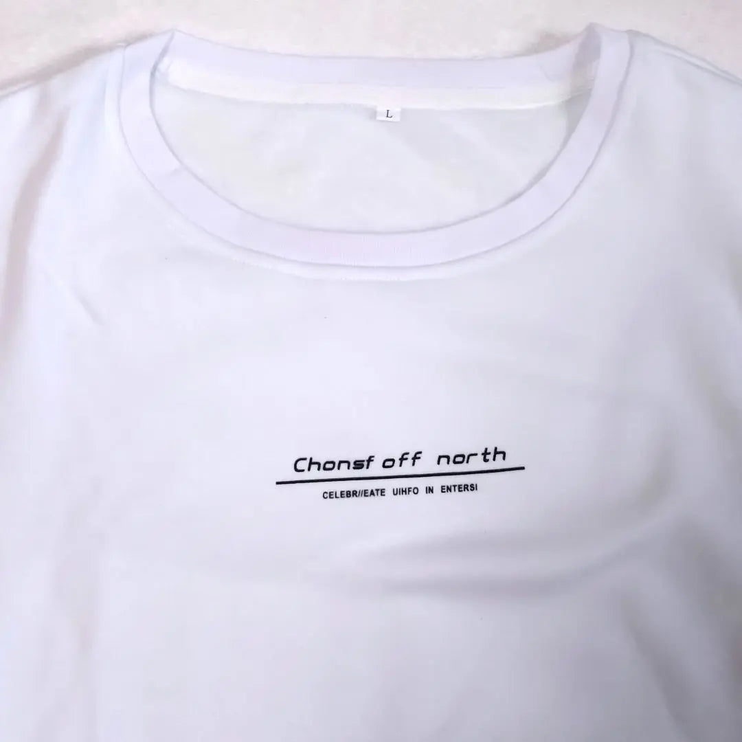 [ATCGAUG] Camiseta manga larga L degradado blanco x verde forro cepillado