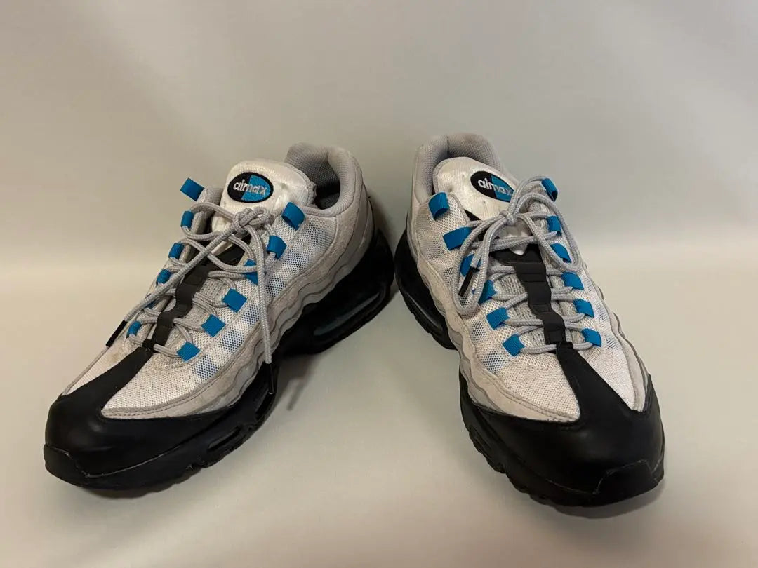 Nike Air Max 95 Nike Air Max 95 29cm