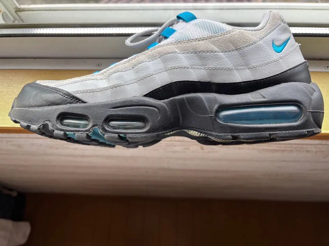 Nike Air Max 95 Nike Air Max 95 29cm