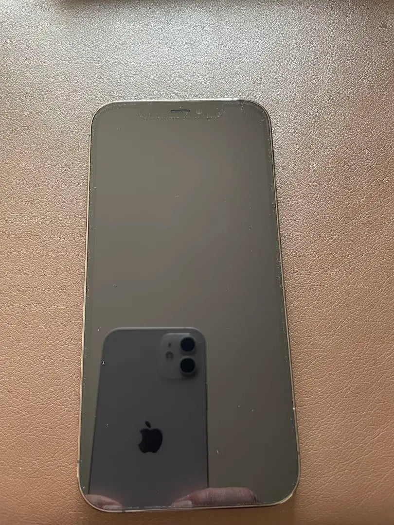 Apple iPhone 12 Pro con cuerpo plateado