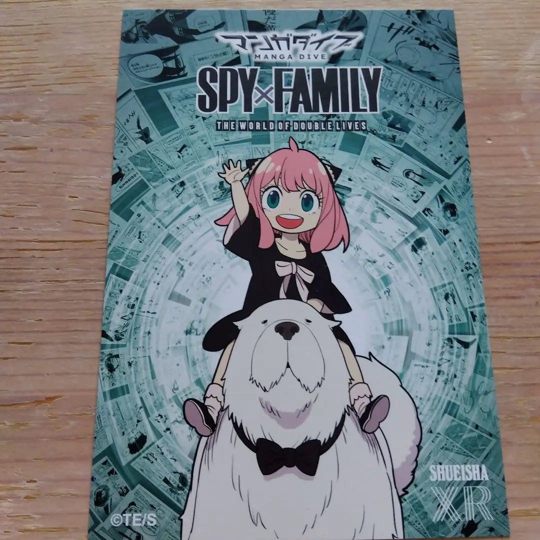 SPY x FAMILY Manga Dive Coaster Limited Sticker Event Goods 5 items