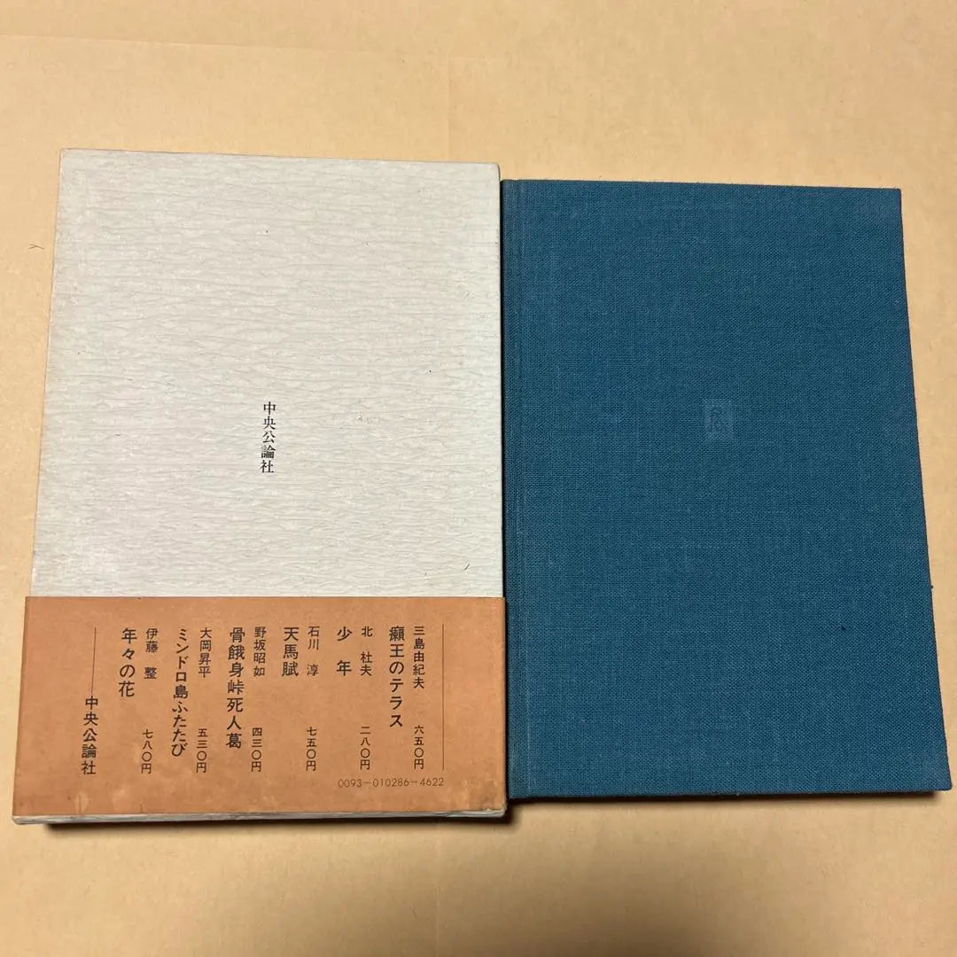 [rare! First edition! Beautiful book] A long novel in the rubble: Yoshida Kenichi, first edition box obi, box obi, Tochiori Kumiko