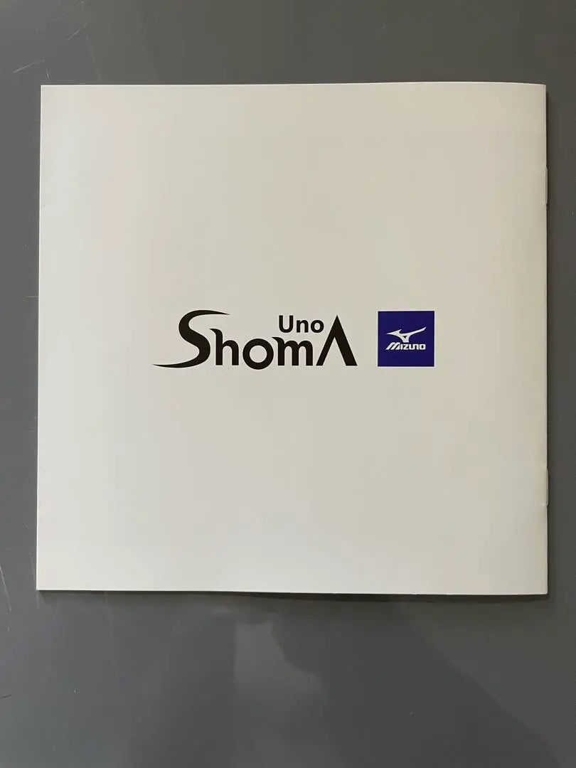 Uno Shoma Mini Photo Book Not for Sale Mizuno