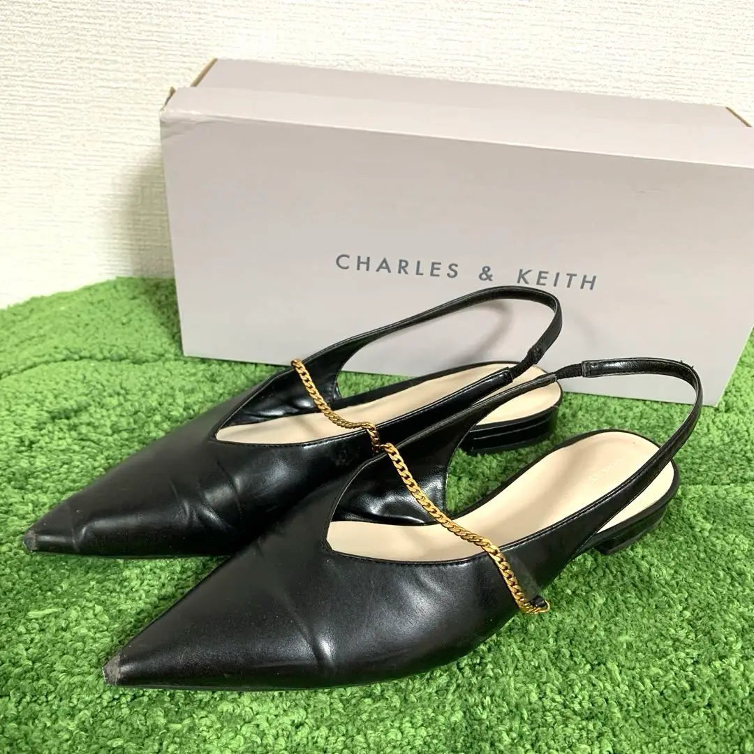 ☆ CHARLES & KEITH Flat Ballet Shoes