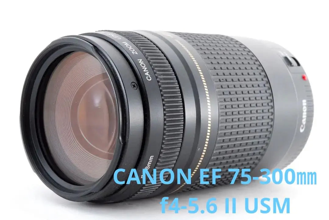 Telephoto lens☆CANON EF 75-300mm USM