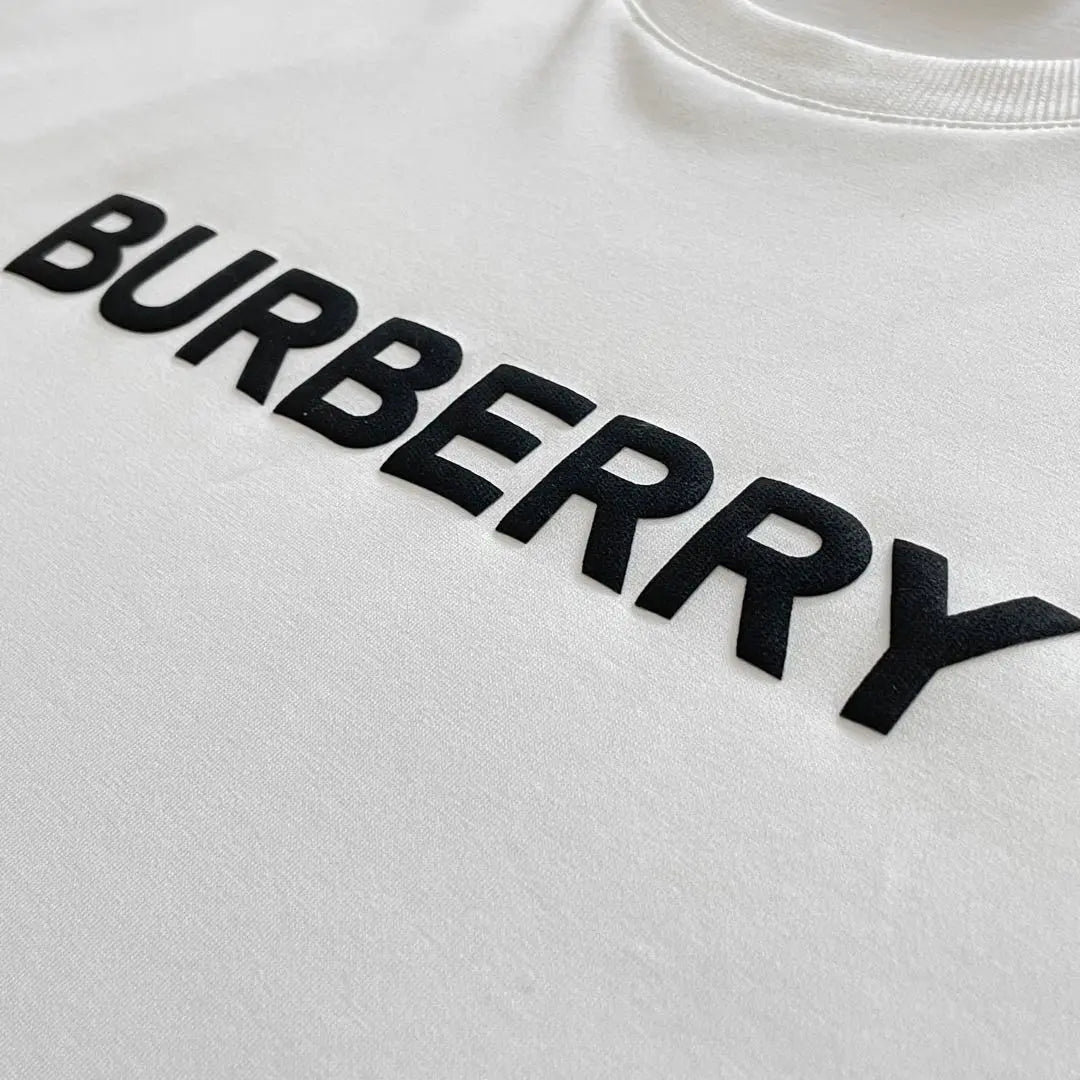 Tag included BURBERRY Short-sleeved T-shirt 3D logo Center logo White Current tag