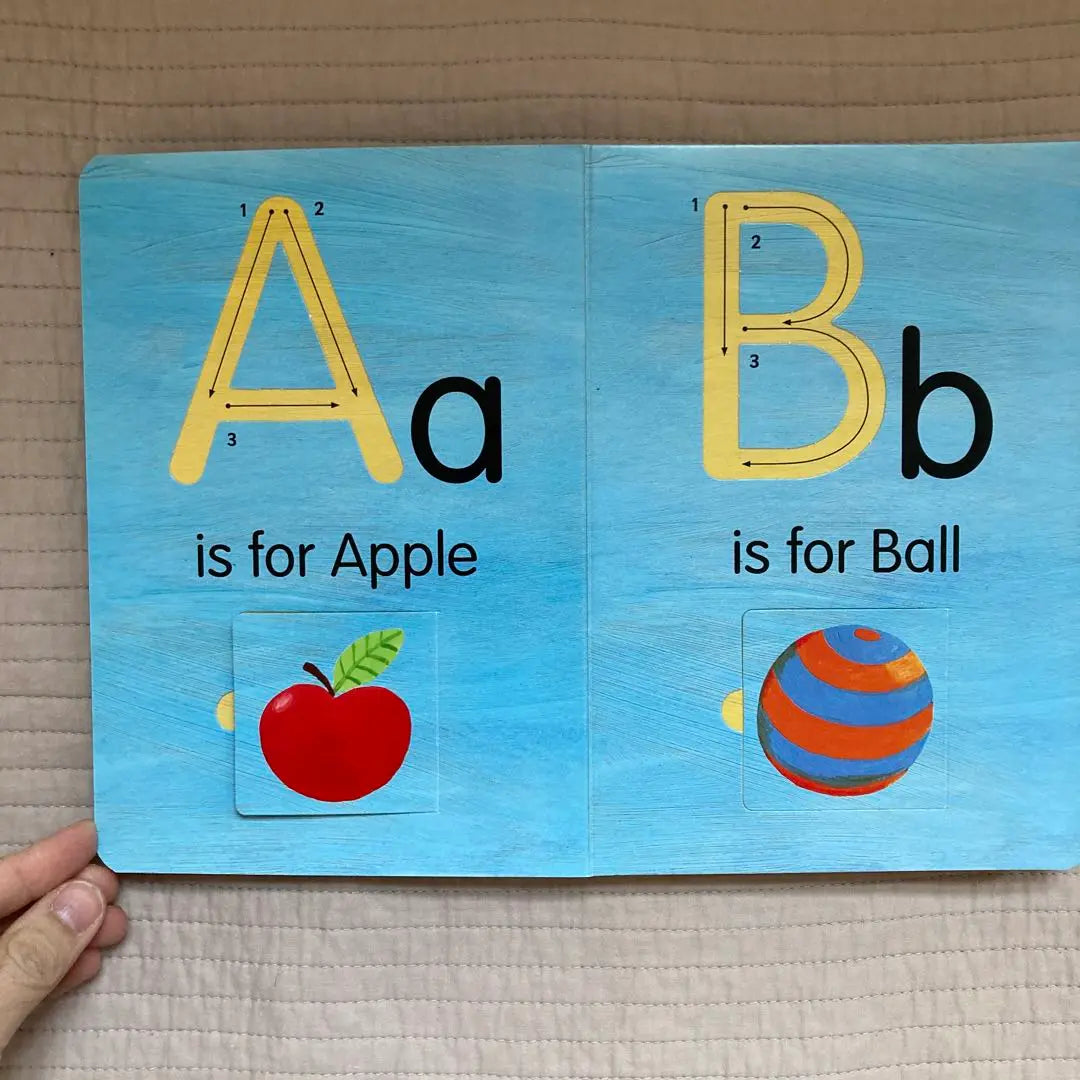 Alphabet Picture Picture Infant English Education