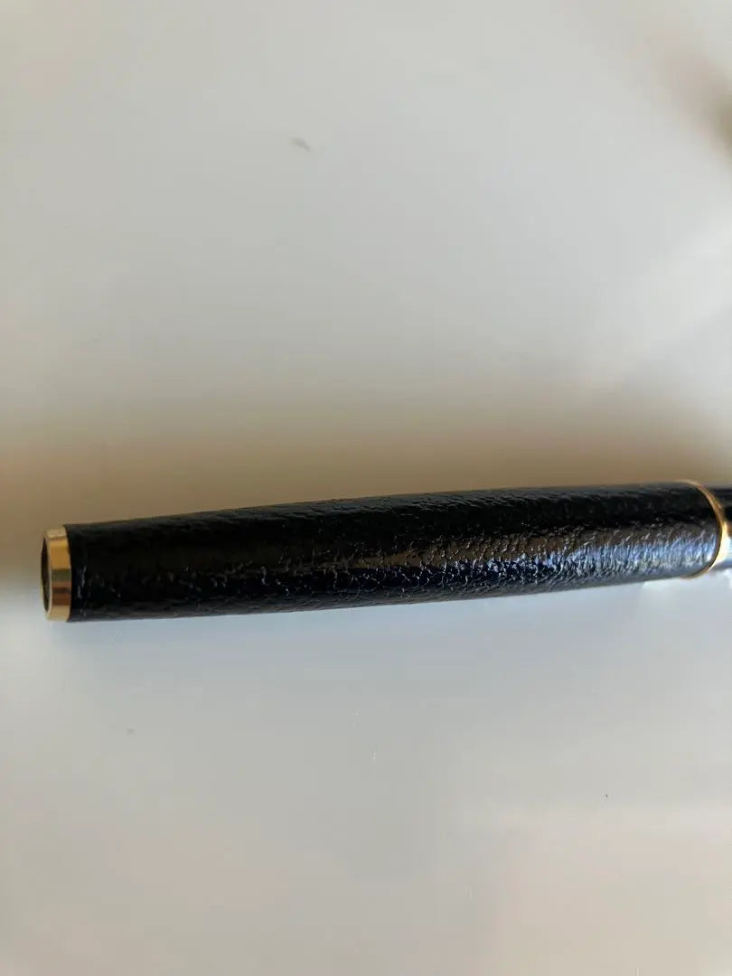 Platinum Fountain Pen Sheep Leather Wrapped F