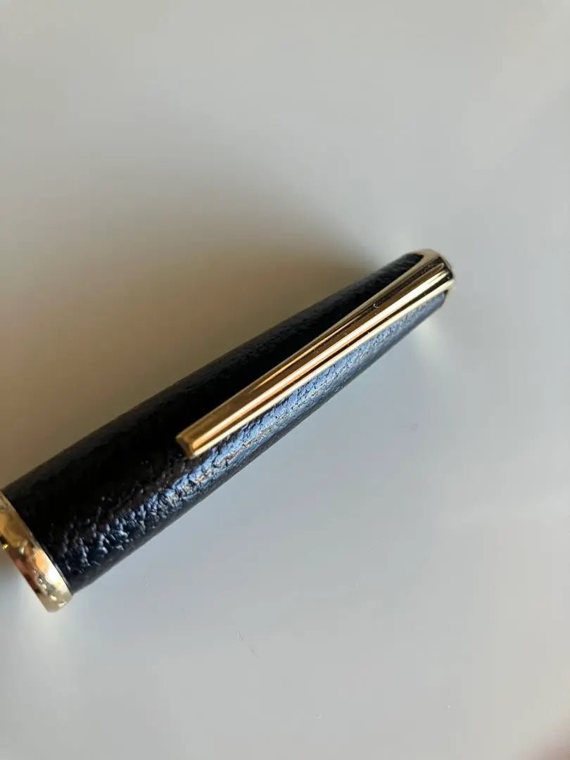 Platinum Fountain Pen Sheep Leather Wrapped F