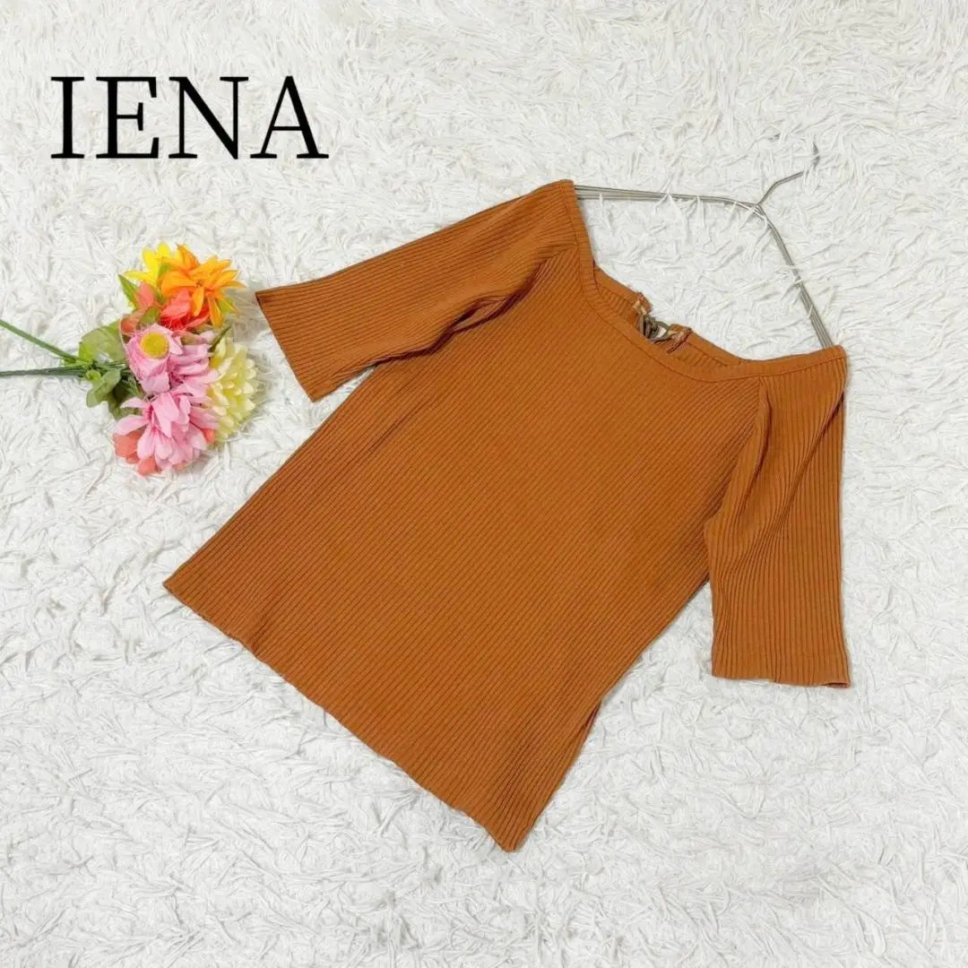 [IENA] Short-sleeved cut and sew, off-shoulder, rib, pullover, cute, adult