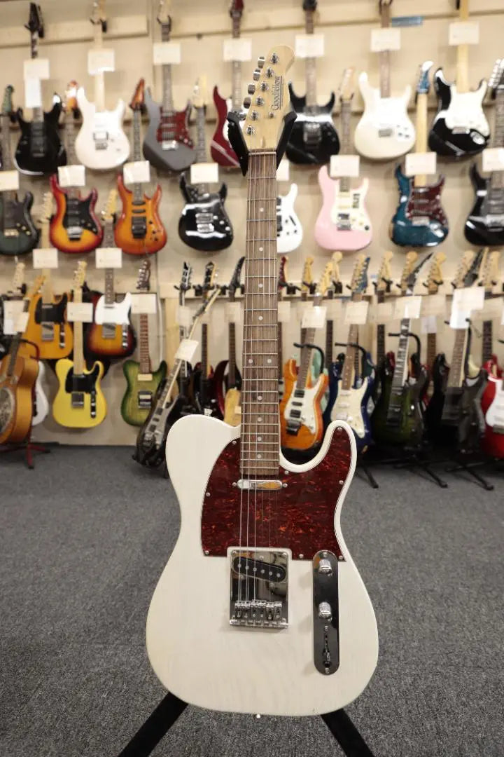 [8662] GOODFELOW YTM-500R-ASH Tipo Telecaster | 【8662】 GOODFELOW YTM-500R-ASH テレキャスタータイプ