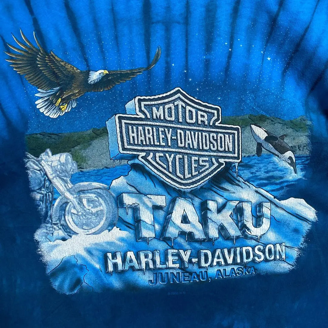 Camiseta de manga corta usada para motocicleta Alaska Harley Davidson Killer Eagle | アラスカ ハーレーダビッドソン シャチ イーグル バイク 古着 半袖 Tシャツ