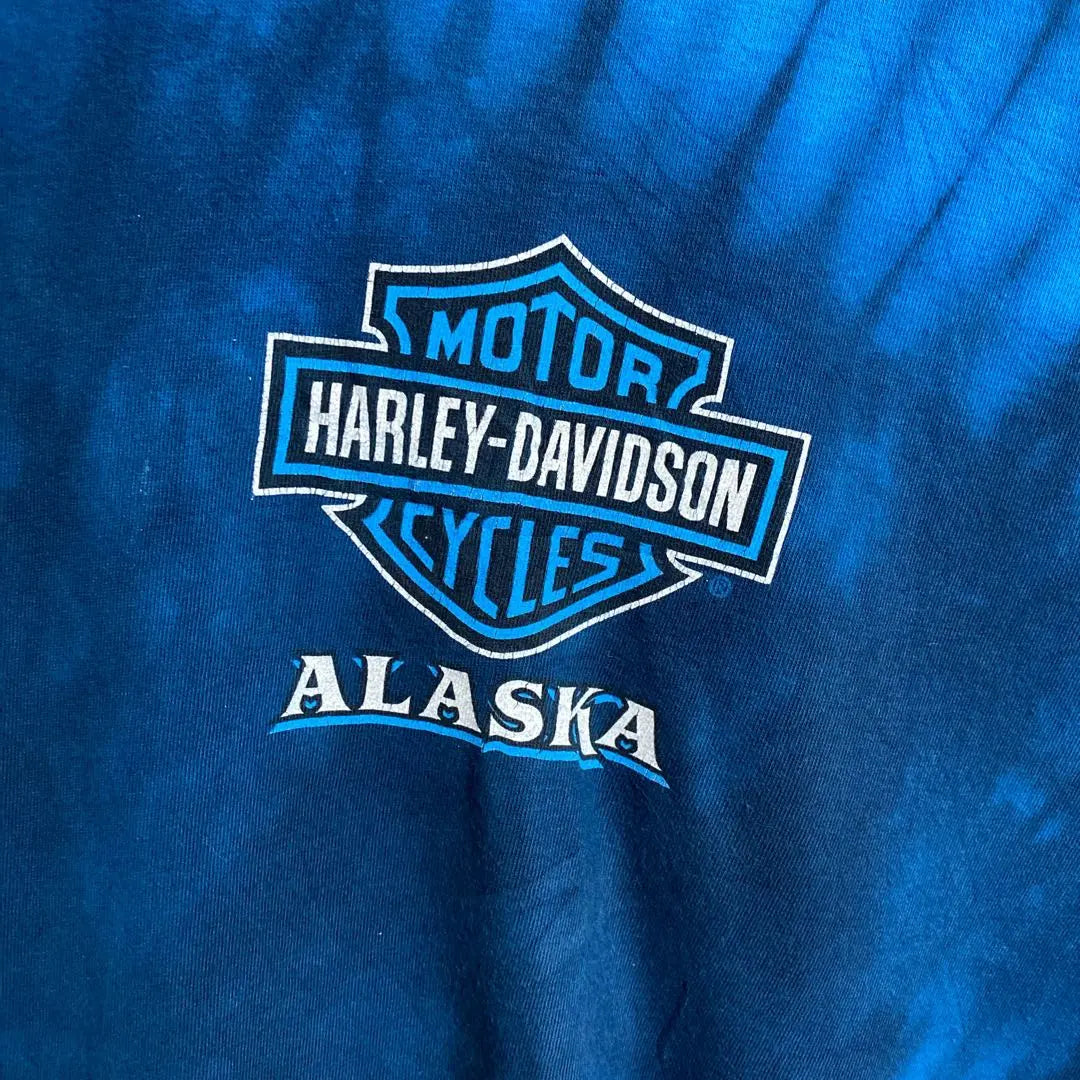 Alaska Harley Davidson Killer Eagle Motorcycle Used Short Sleeve T-shirt | アラスカ ハーレーダビッドソン シャチ イーグル バイク 古着 半袖 Tシャツ