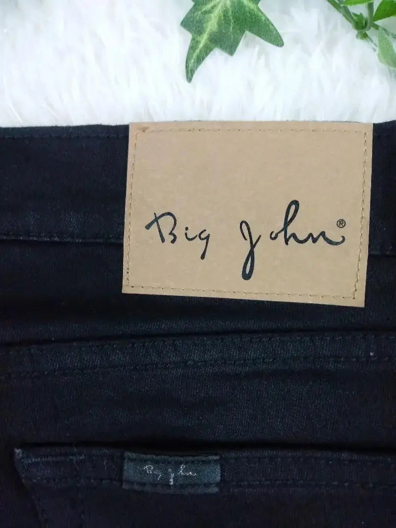 [Large size] Women's BIG JOHN Daypad Denim Pants Black