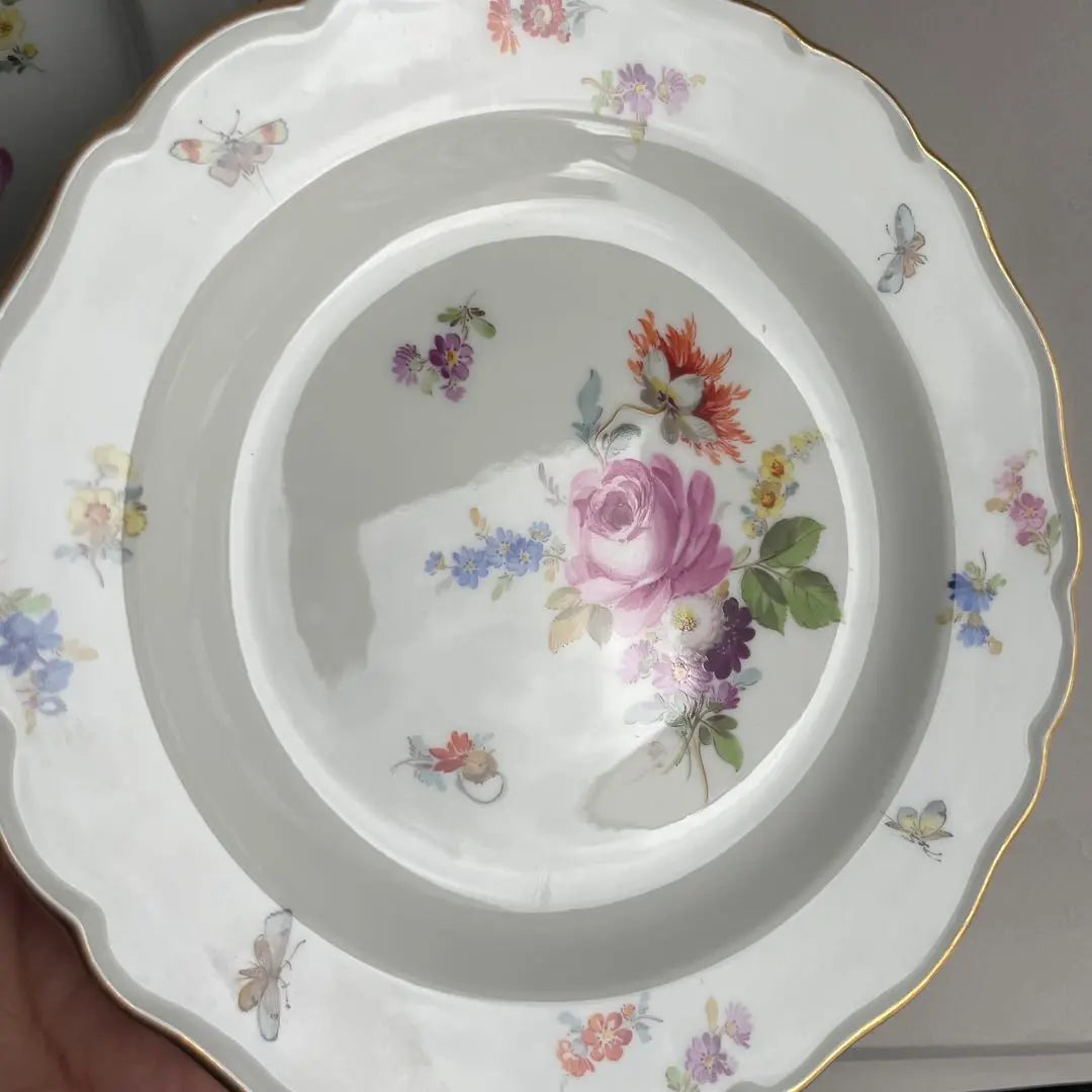 Meissen Basic Flower Flower Bouquet Insect Plate Set of 2