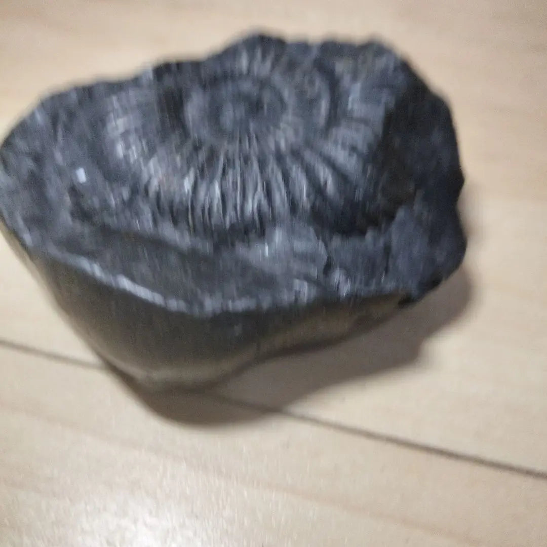 Black fossil, snail-shaped, approx. 10cm, fossil specimen, ammonite, Himalayan mountain range