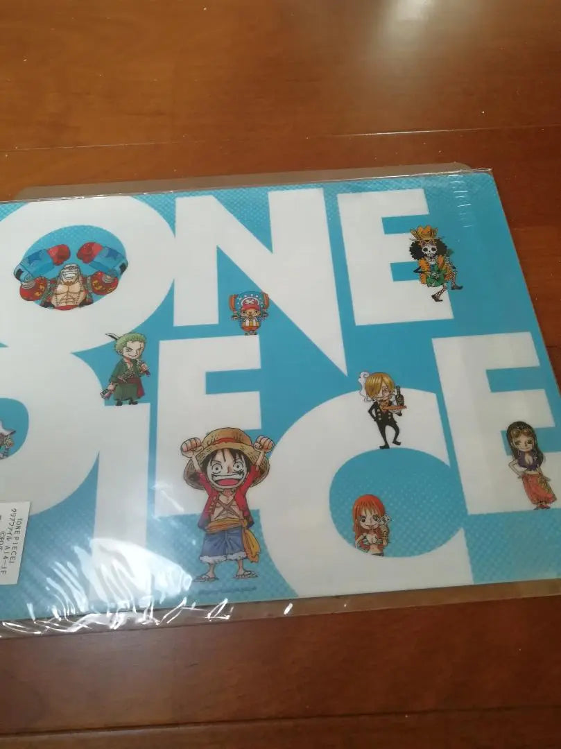 One Piece Clear File