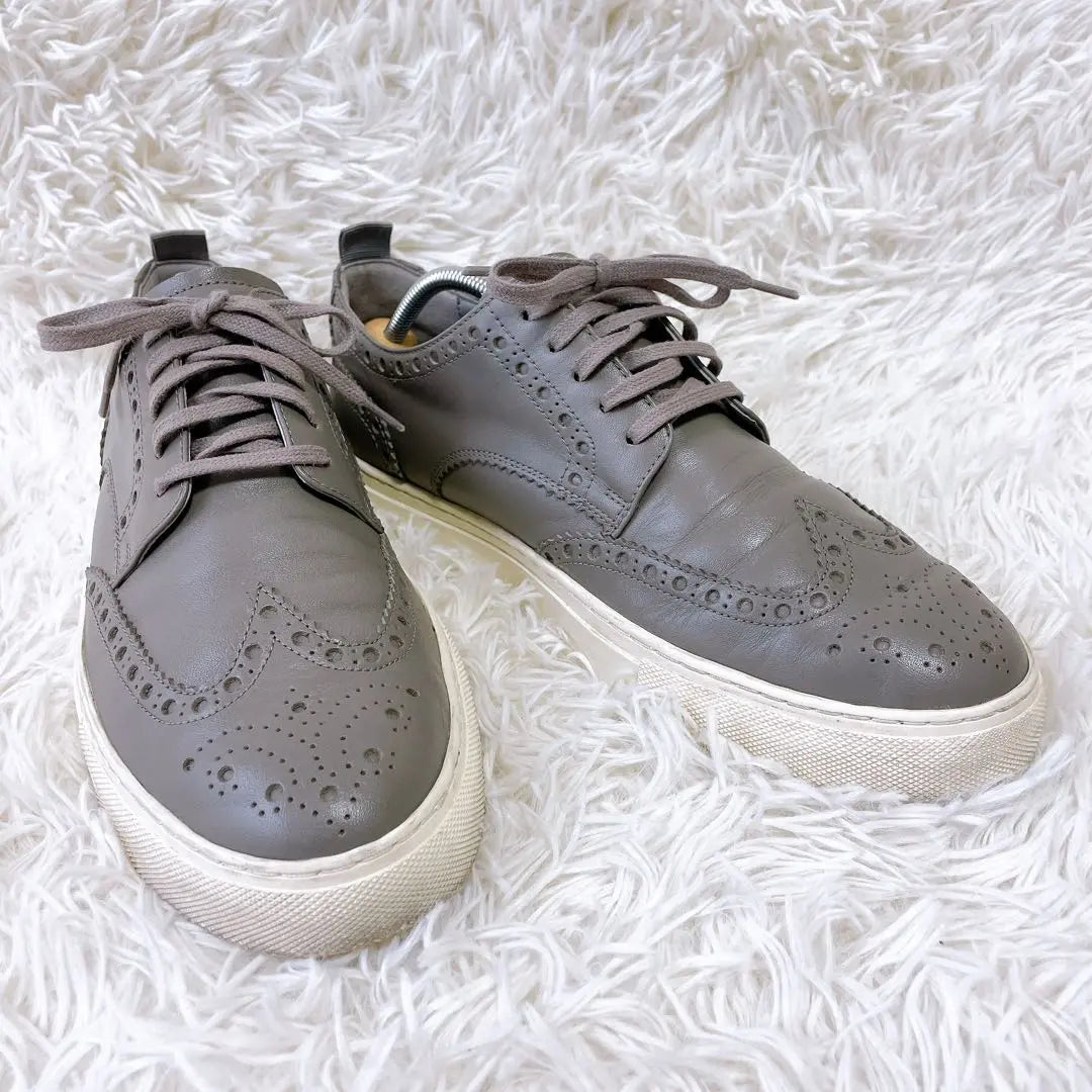 [Good condition✨] COLE HAAN leather sneakers (26.5cm) Wingtip