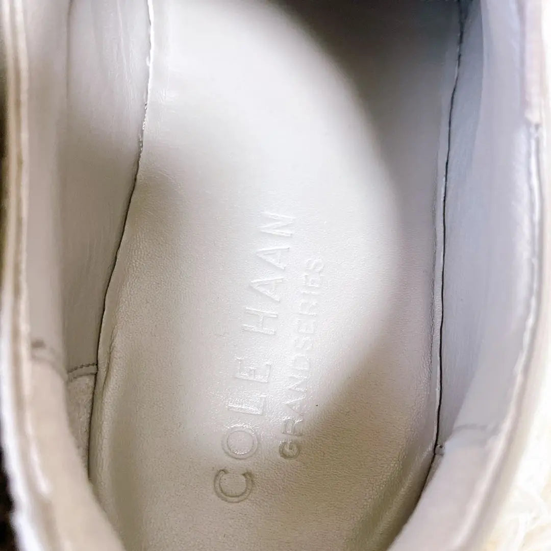 [Good condition✨] COLE HAAN leather sneakers (26.5cm) Wingtip