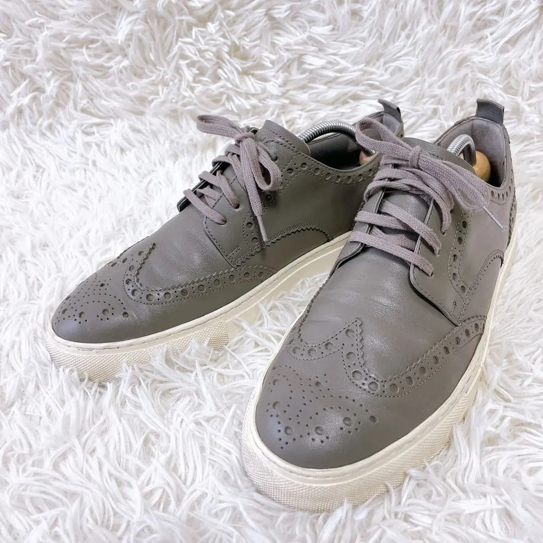 [Good condition✨] COLE HAAN leather sneakers (26.5cm) Wingtip