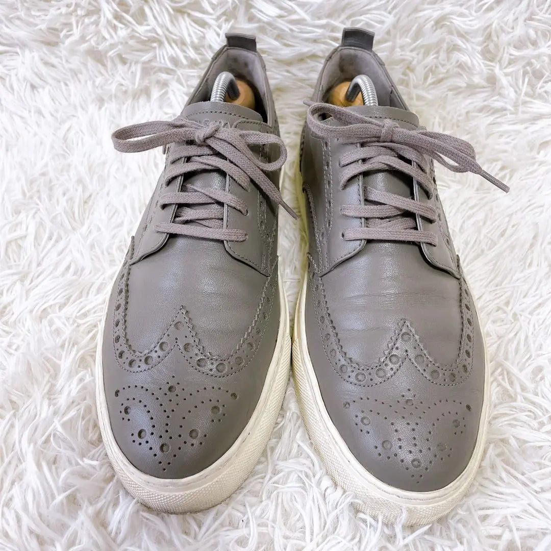 [Good condition✨] COLE HAAN leather sneakers (26.5cm) Wingtip