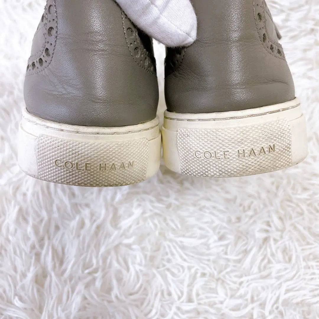 [Good condition✨] COLE HAAN leather sneakers (26.5cm) Wingtip