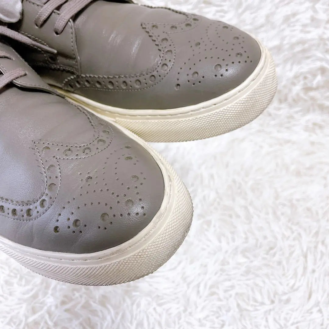 [Good condition✨] COLE HAAN leather sneakers (26.5cm) Wingtip