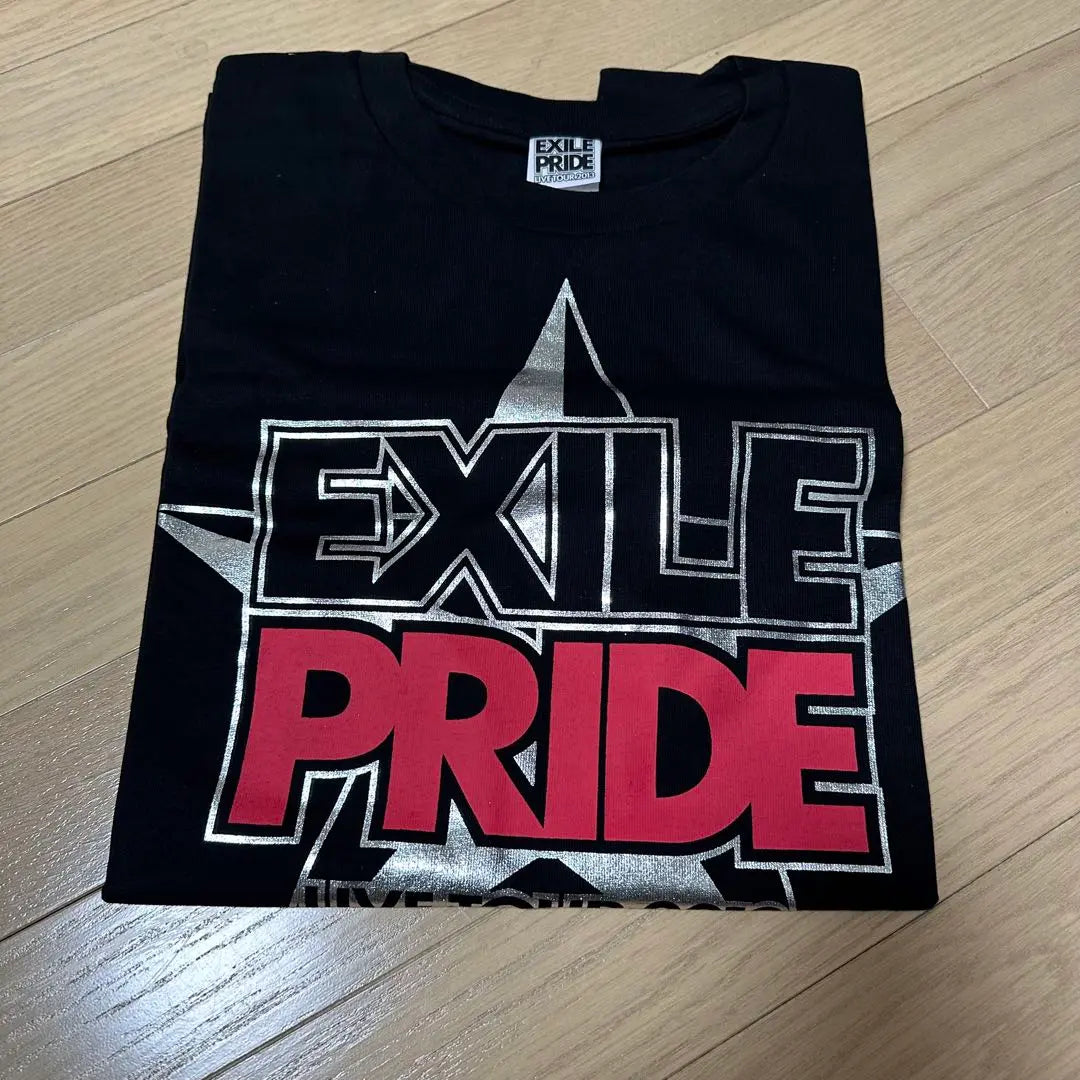 EXILE 2013 T -shirt | EXILE 2013 Tシャツ