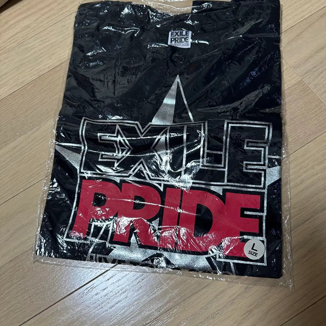 EXILE 2013 T -shirt | EXILE 2013 Tシャツ