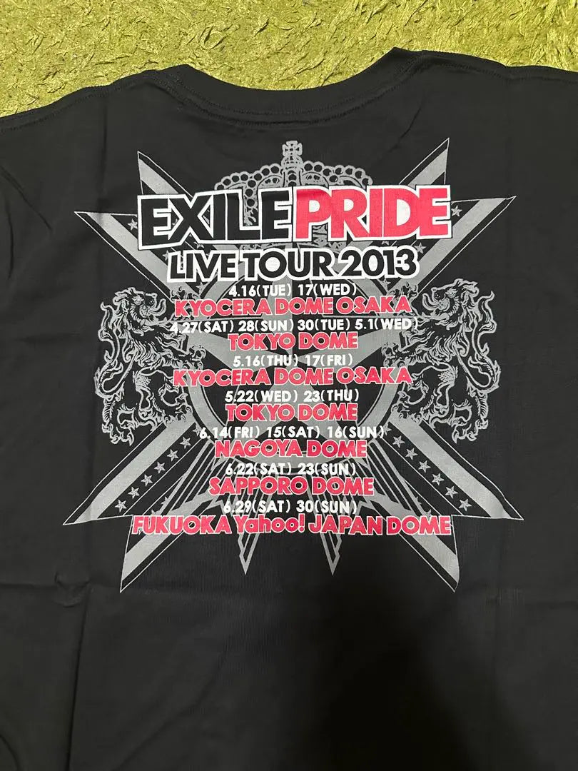 EXILE 2013 T -shirt | EXILE 2013 Tシャツ