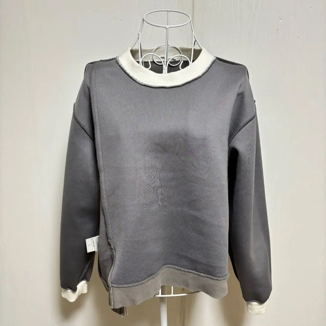 roarguns transformed color scheme sweatshirt 2 made in Japan, gray pullover, slit