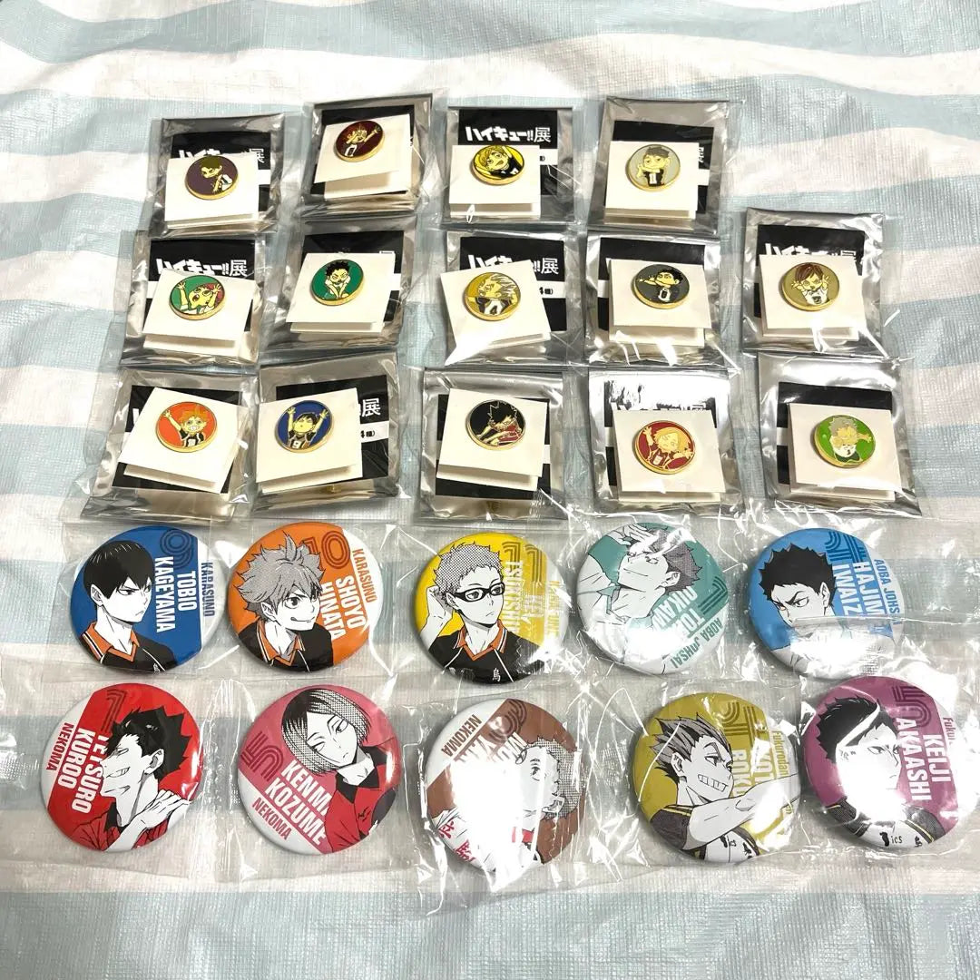 Haikyu Haikyu Exhibition Pins Portrait Can Badge Complete