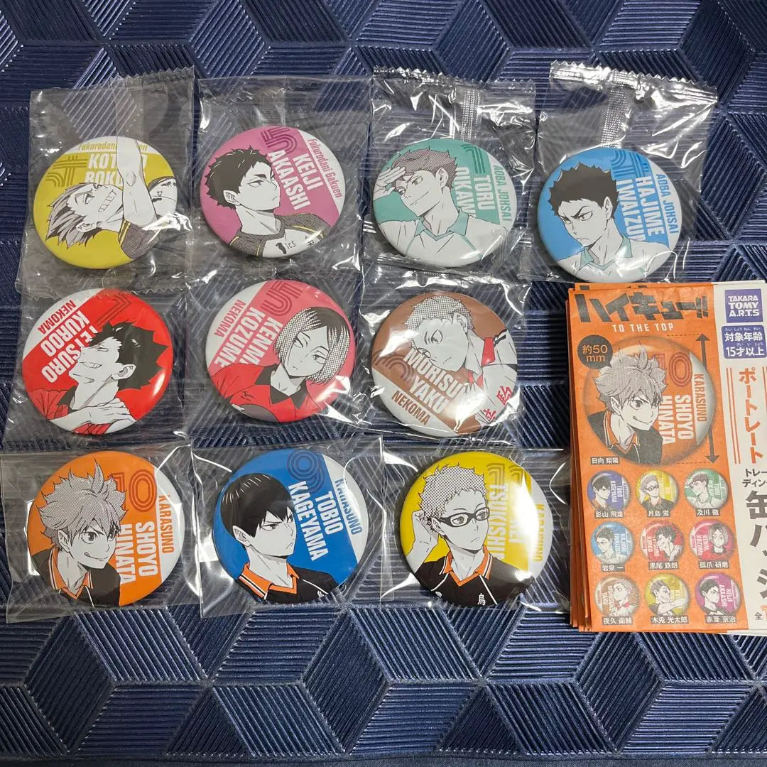 Haikyu Haikyu Exhibition Pins Portrait Can Badge Complete