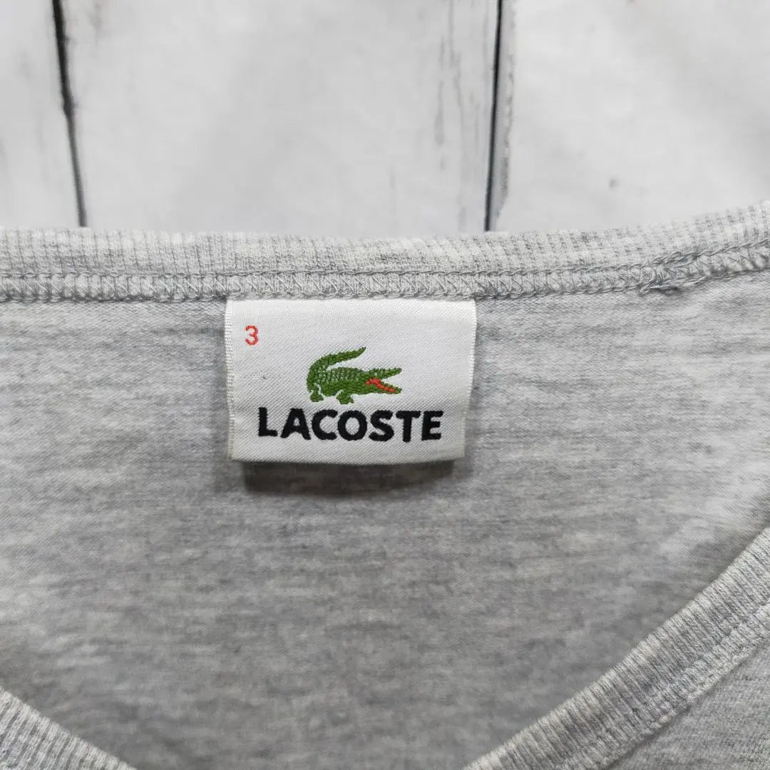 【LACOSTE】 Onepoint V-neck Tee　D1849