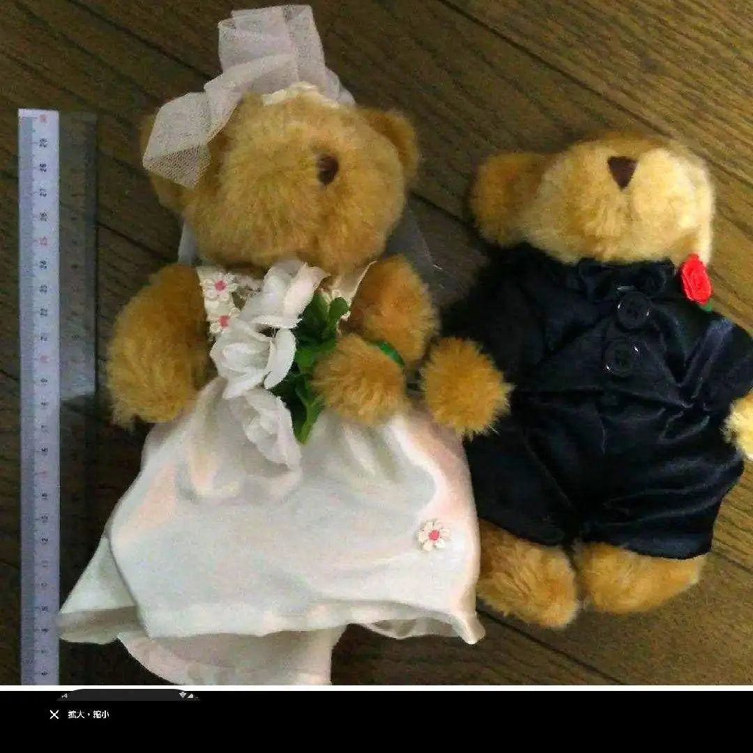 2 Bridal Bears