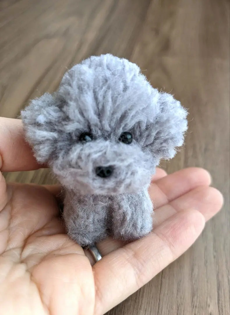 Hand-rising dog, toy poodle, full body