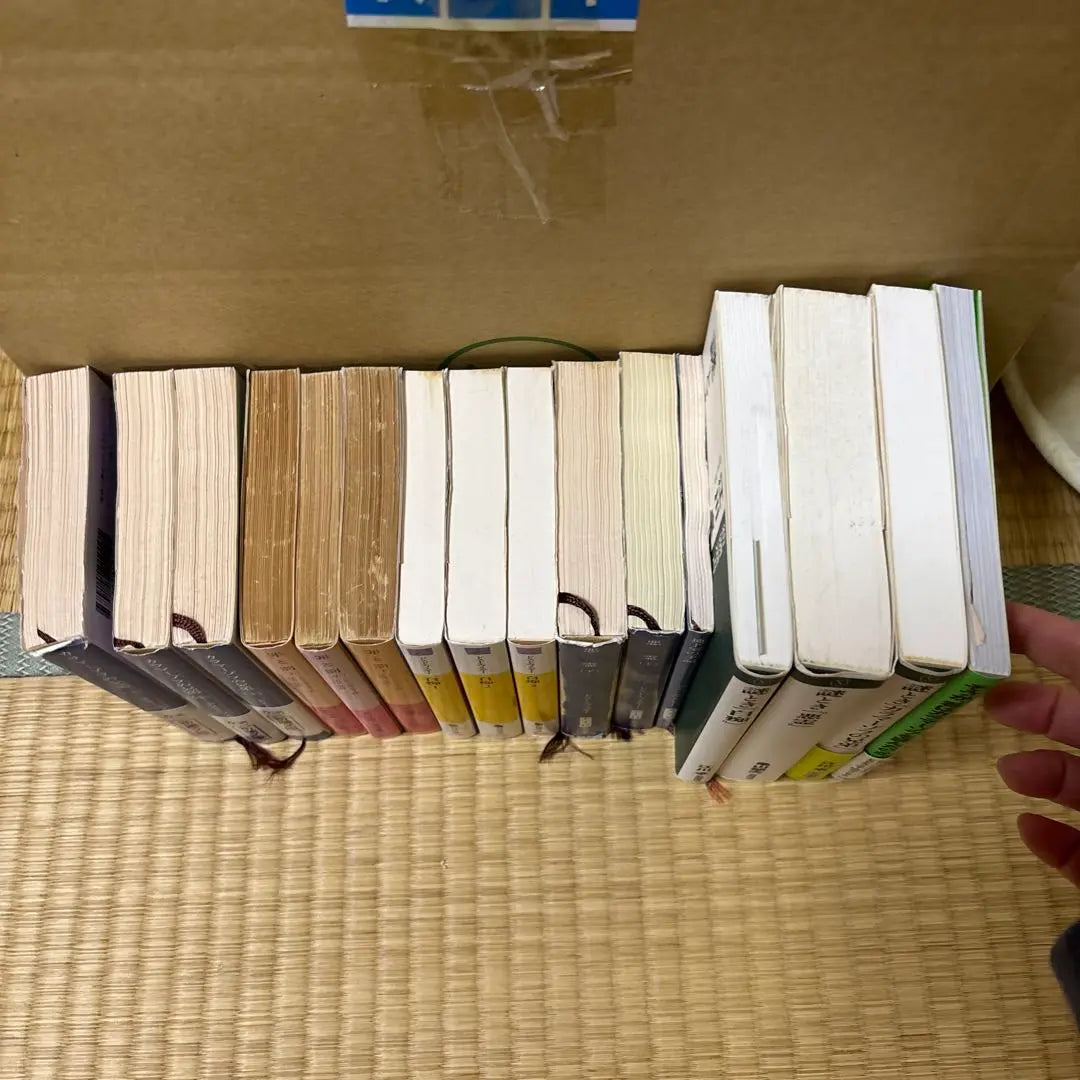 Dostoevsky Paperback Set of 12 Books ➕4 Mystery Solving Books