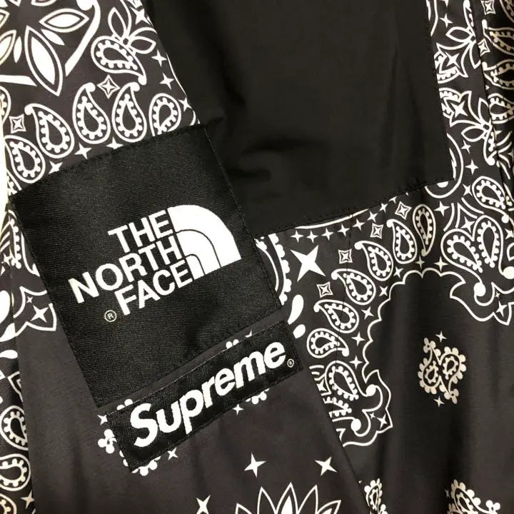 Chaqueta de montaña Bandana de Supreme North Face