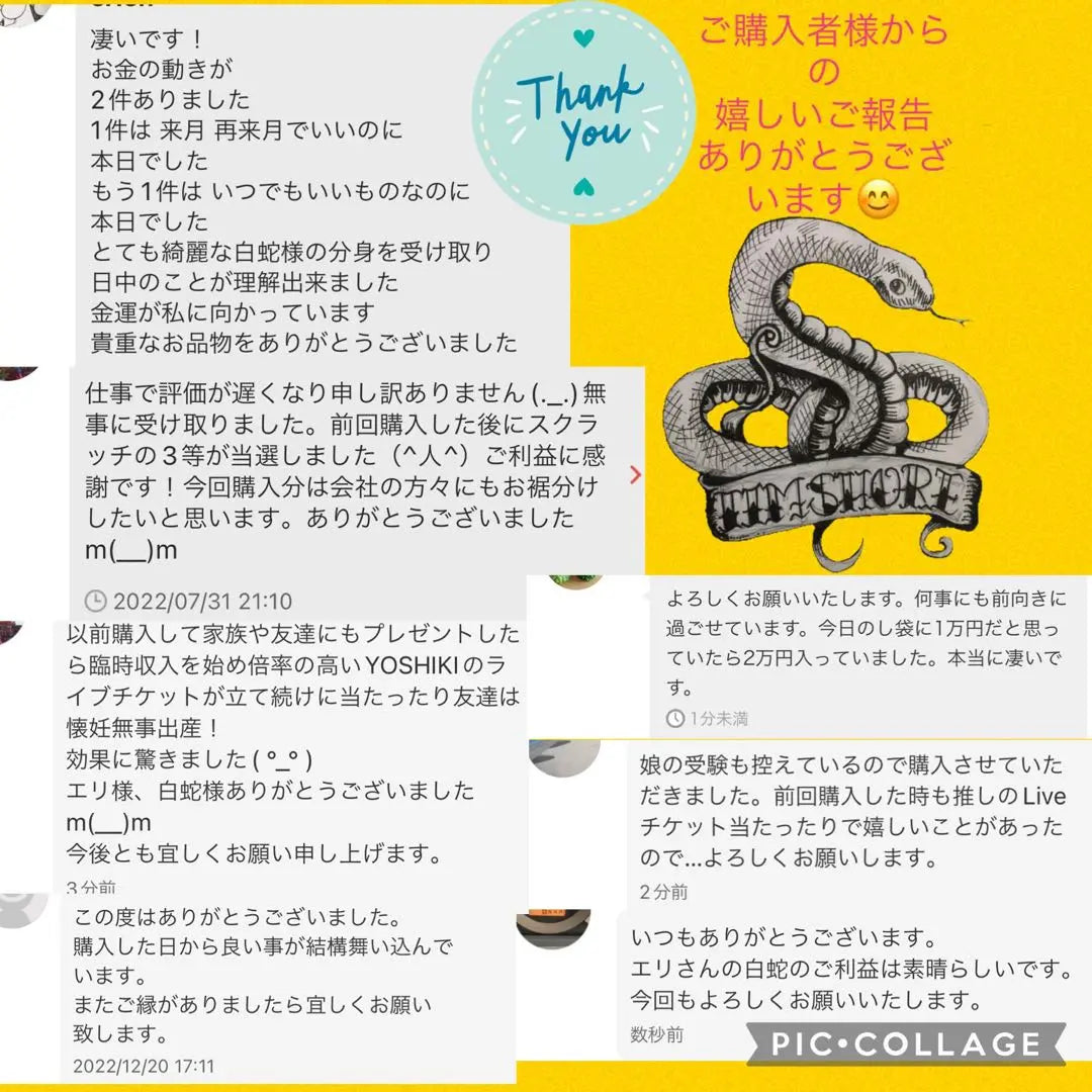 White snake shell ☆ Snake amulet raised by the year of Snake ☆ Fortune rises | 白蛇の抜け殻☆巳年生まれが育てるヘビのお守り☆運気上昇【一粒万倍日脱皮抜け殻】4